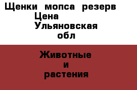  Щенки  мопса (резерв) › Цена ­ 15 000 - Ульяновская обл. Животные и растения » Собаки   